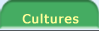 Cultures